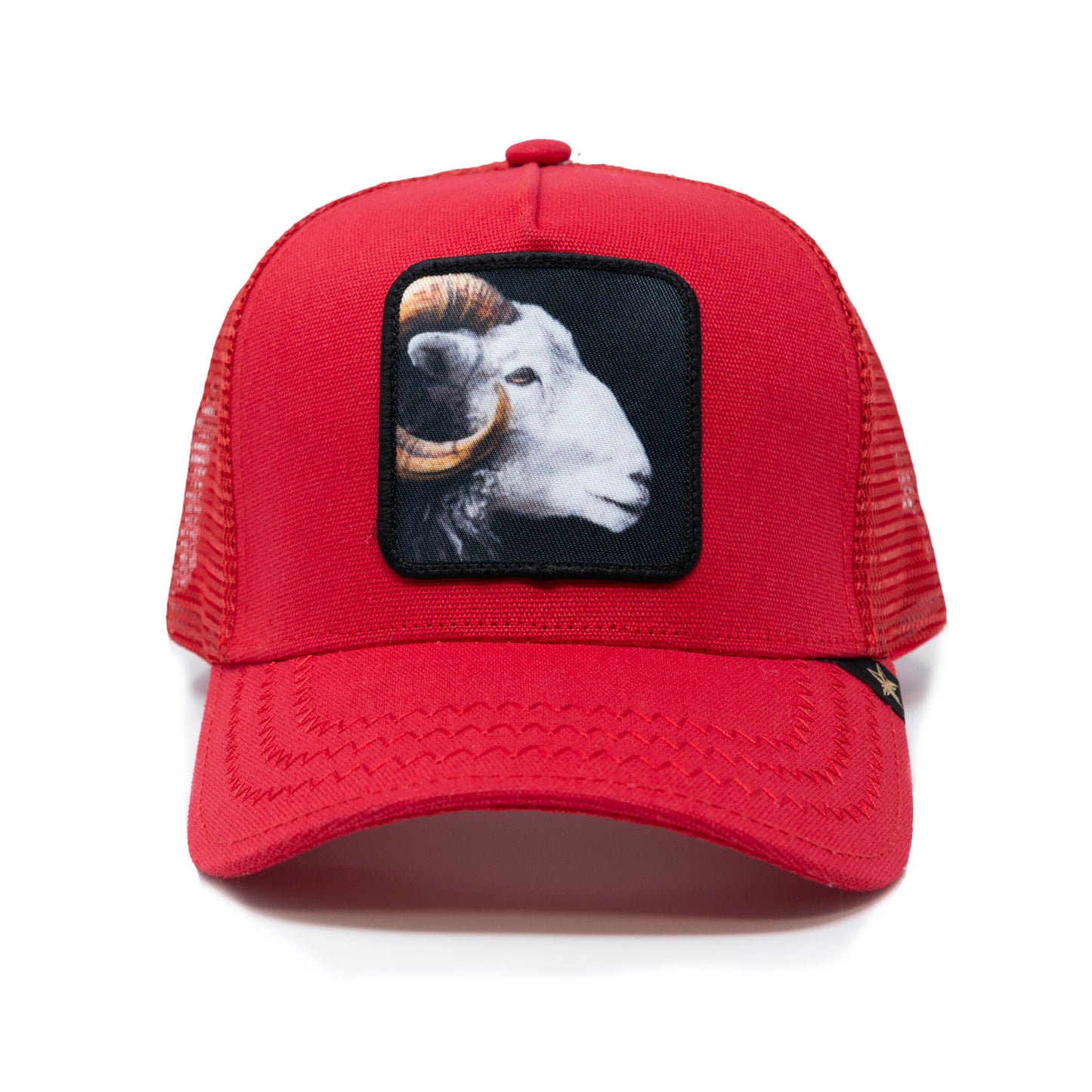 Gold Star - Goat