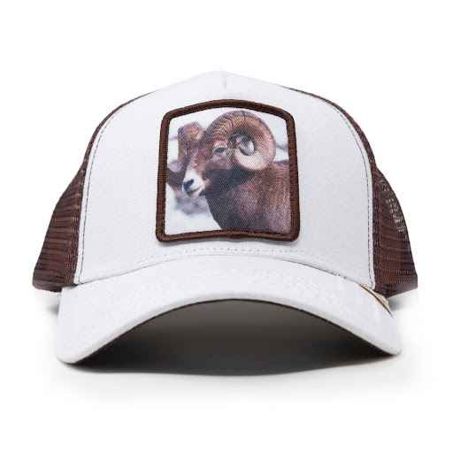 Gold Star- Ram Trucker Hat